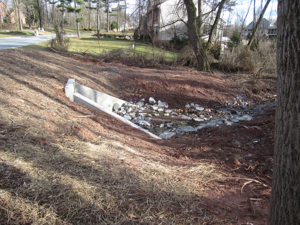 Replanting the Washed-Out Bank