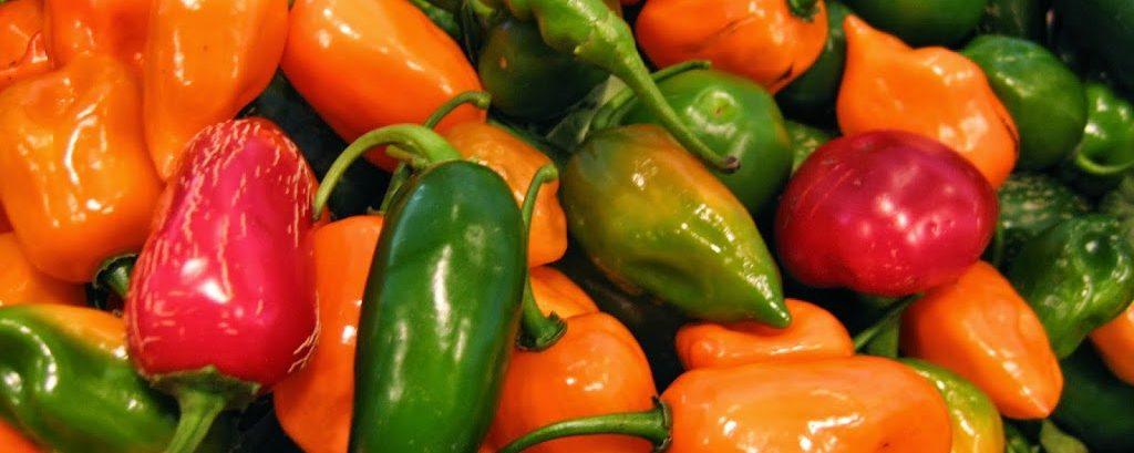 Robertson Farms Hot Sauce Recipe